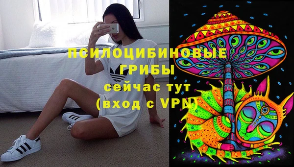 мяу мяу мука Белоозёрский