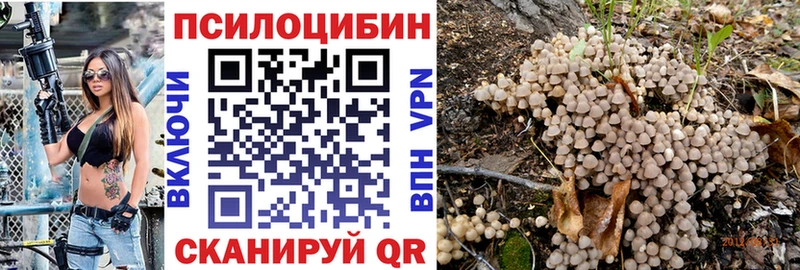 Галлюциногенные грибы Psilocybine cubensis Гуково